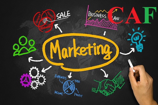 Chiến lược marketing dành cho startup khi đang trên đà phát triển 