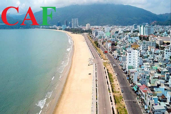 Chuyên kiểm toán bctc ở Bình Định