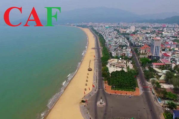 Công ty kiểm toán độc lập tại Bình Định