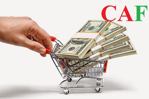 Trong doanh nghiệp vốn lưu động phản ánh điều gì ?