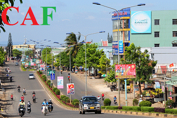 Công ty kiểm toán báo cáo tài chính ở Gia Lai uy tín