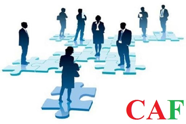 Để nắm quyền kiểm soát công ty thì cổ đông cần giữ bao nhiêu cổ phần