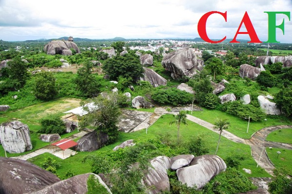 Công ty báo cáo thuế hàng đầu tại Định Quán Đồng Nai