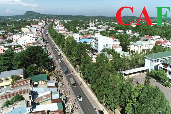 Công ty báo cáo thuế hàng đầu tại Định Quán Đồng Nai