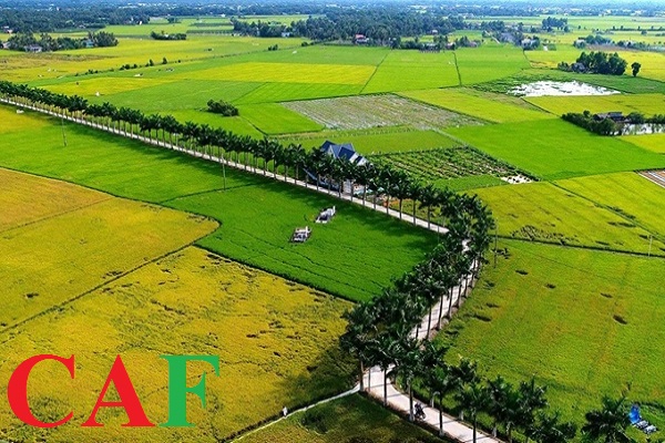 Dịch vụ kế toán uy tín giá rẻ tại Tân Trụ Long An