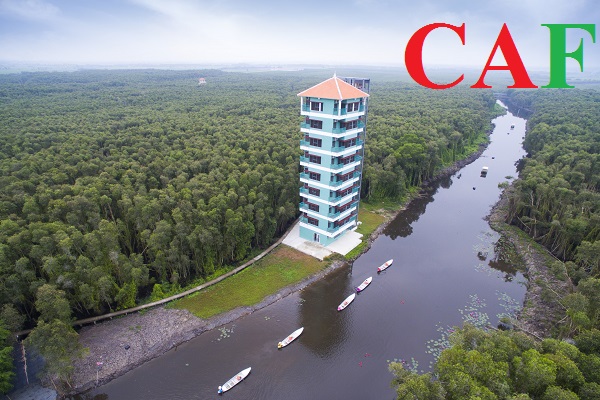 Kế toán thuế giá rẻ tại huyện Mộc Hóa Long An