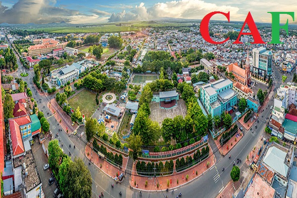 Thuê công ty kế toán chuyên nghiệp tại Long Khánh