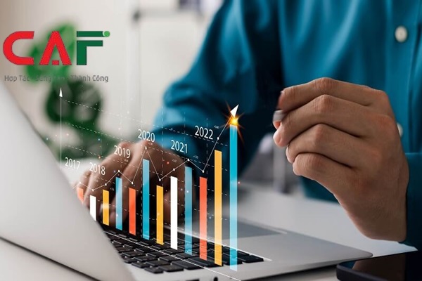 Bảng giá dịch vụ kiểm toán tại Nghệ An