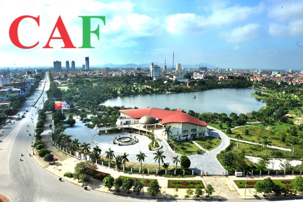 Báo giá kiểm toán báo cáo tài chính tỉnh Nghệ An