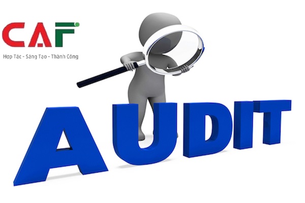 Kiểm toán BCTC là gì