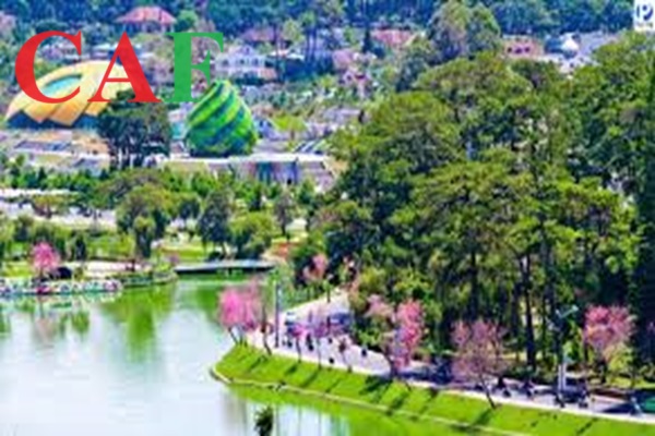 Kiểm toán dịch vụ và tư vấn kế toán ở Đà Lạt tỉnh Lâm Đồng