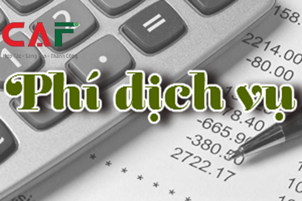 Bảng giá dịch vụ kiểm toán bao cao tai chinh tron goi tai tỉnh Sóc Trăng