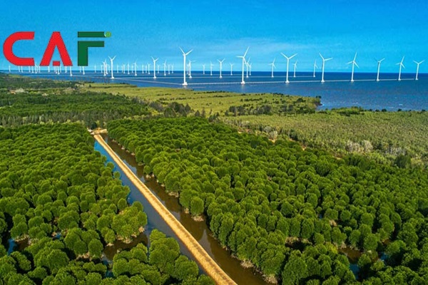 Bảng giá kiểm toán ở Bạc Liêu