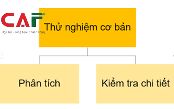 Các bước mà CAF cung cấp dịch vụ kiểm toán tại thành phố Long Xuyên An Giang