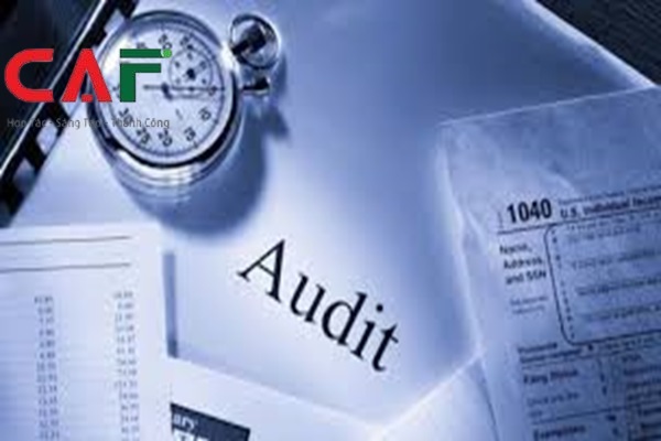 Các đối tượng cần kiểm toán báo cáo tài chính tại tỉnh Cà Mau