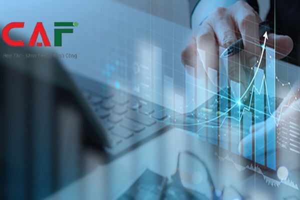 Công ty CAF hiện đang cung cấp các dịch vụ kiểm toán uy tín đến khách hàng