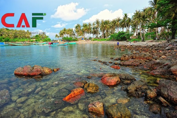 Công ty dịch vụ kiểm toán tại tỉnh Kiên Giang