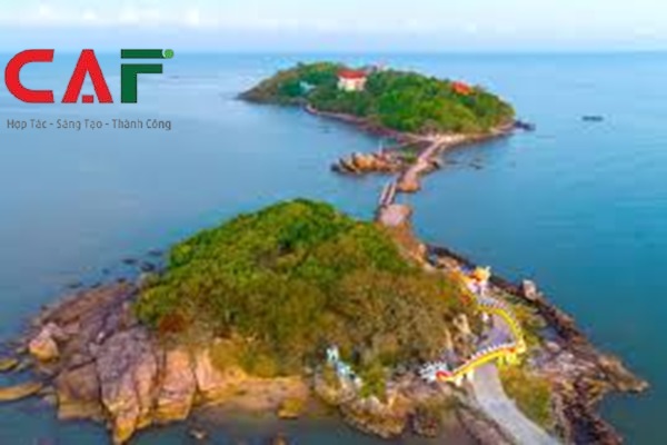 Công ty dịch vụ kiểm toán và kế toán uy tín ở Cà Mau