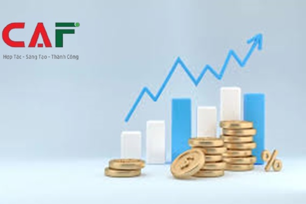 Dịch vụ kiểm toán báo cáo tài chính tại An Giang mà CAF đang cung cấp