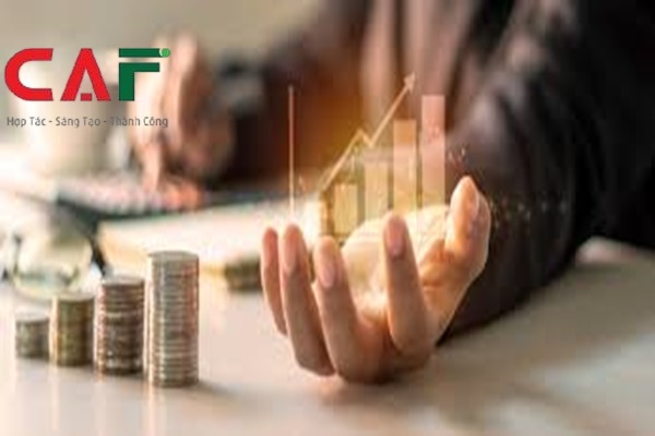 Dịch vụ kiểm toán là gì