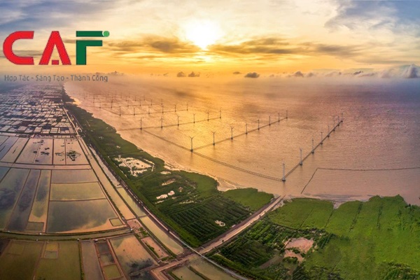 Giới thiệu công ty dịch vụ kiểm toán báo cáo tài chính ở tỉnh Bạc Liêu