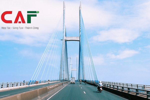 Giới thiệu công ty dịch vụ kiểm toán báo cáo tài chính tại tỉnh Vĩnh Long