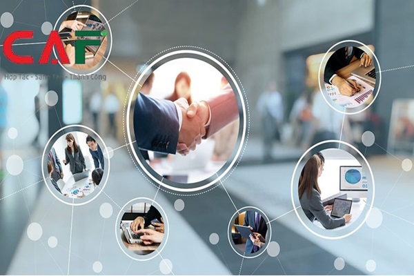 Giới thiệu công ty dịch vụ kiểm toán độc lập uy tín ở tỉnh Đồng Tháp
