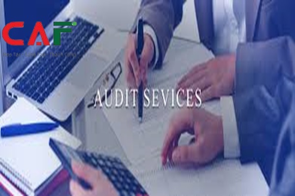 Giới thiệu công ty kiểm toán độc lập uy tín ở tỉnh Cà Mau