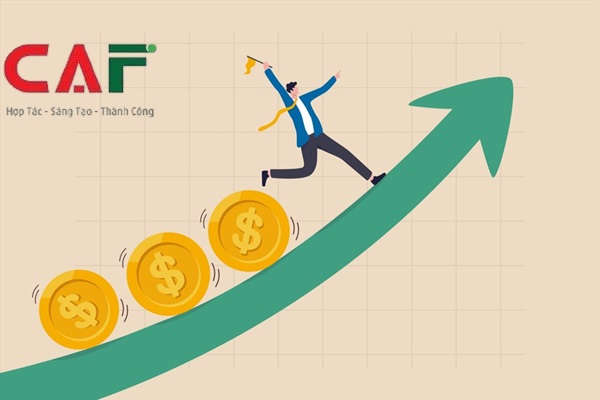 Lợi ích khi sử dụng dịch vụ kiểm toán báo cáo tài chính uy tín tại Kiên Giang