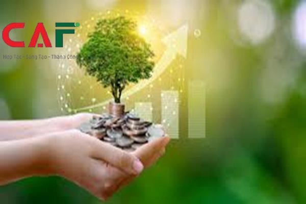 Lợi ích khi sử dụng dịch vụ kiểm toán tại Bạc Liêu của công ty CAF