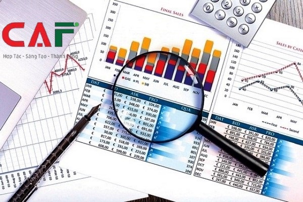 Lợi ích khi sử dụng dịch vụ kiểm toán tại Cà Mau của CAF