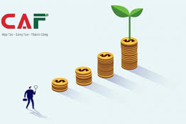 Nội dung dịch vụ kiểm toán tại Bạc Liêu